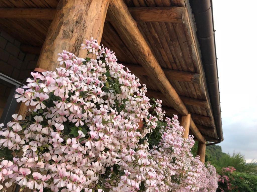 Le Rocce Panzió SantʼAgata deʼ Goti Kültér fotó